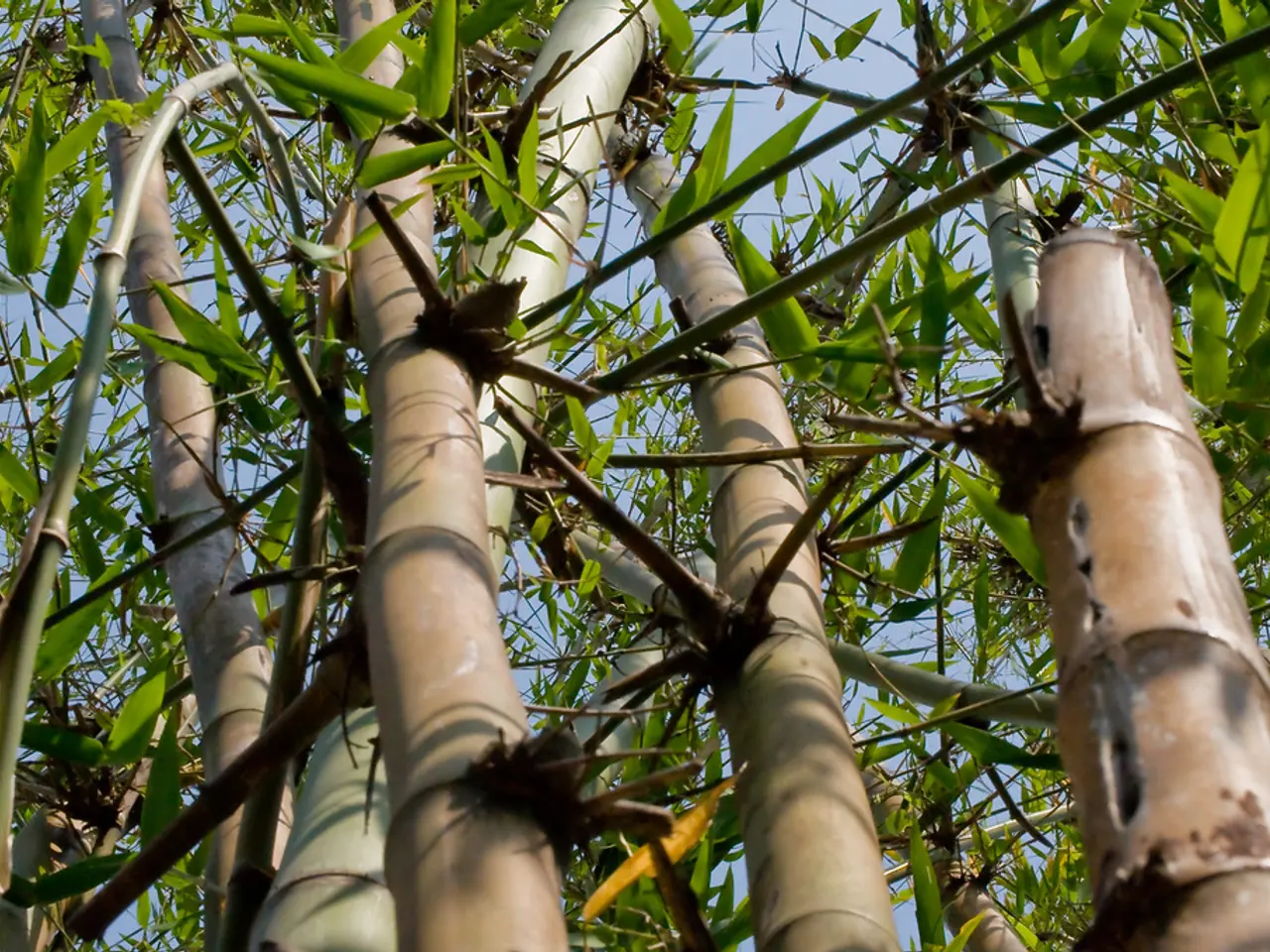 [Dispatches] Insights from Ron Hose on the Philippine startup landscape