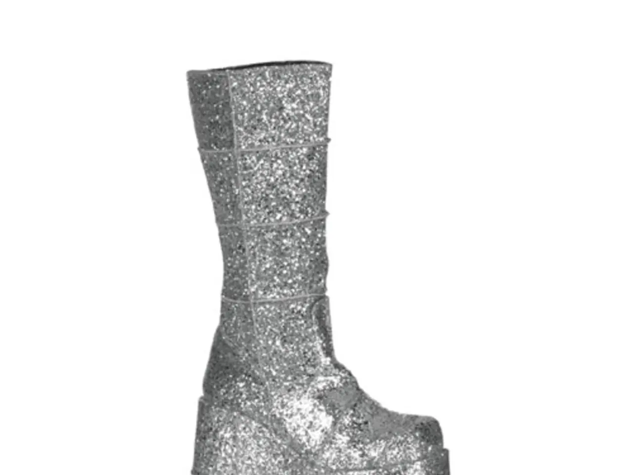 In this image we can see a silver color boot.