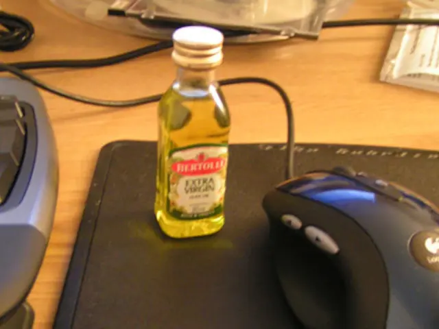 Ideal Tech Present for Your Teenage Food Enthusiast