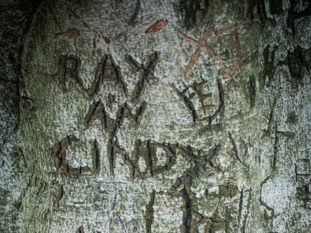 Electric Nissan Leaf Model Reaches Over 600 Kilometers on Single Charge