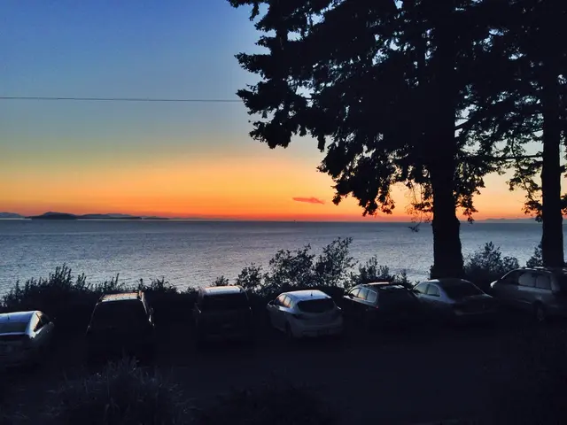 Gamomat Collaborates with WeForest to Establish Gaming and Climate Sustainability Effort