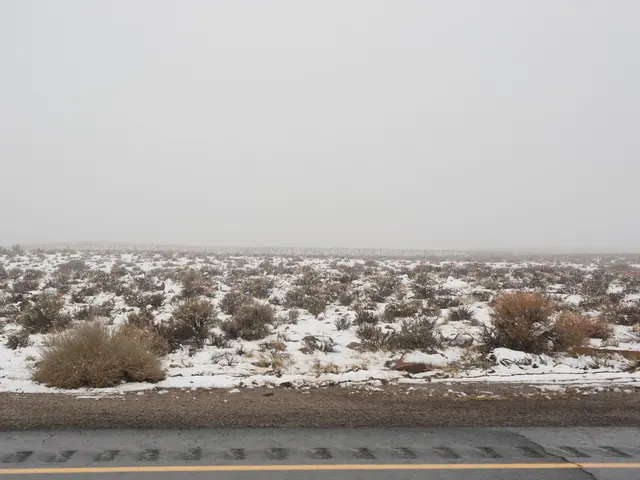 Scholar Adrian McDonald Under Scrutiny