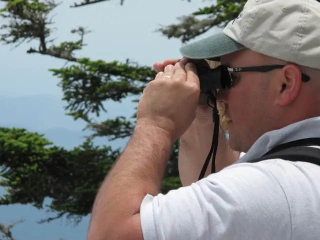 Aldi's price reductions on night vision binoculars appeal to nature enthusiasts