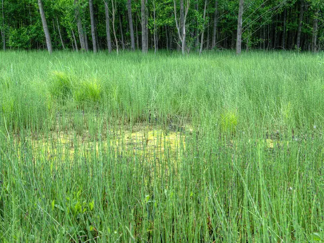 Rapid Expansion of Farm Management Software Industry Anticipated at a Rate of 13.5%