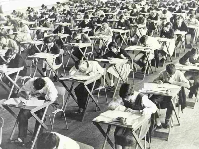 Utilizing Language Models (LLMs) for More Efficient Spreadsheet Management in Taxation