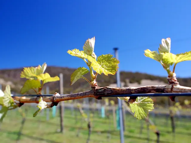 Strategies for Deterring Ransomware Invasions: A Comprehensive Guide