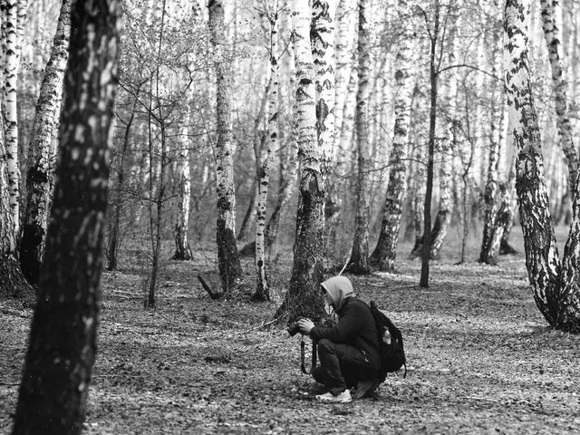 "Effortlessly Master Transfer Learning in Computer Vision Through TensorFlow"