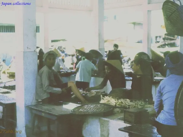 Artificial Intelligence solution, 'Amplify', unveiled by Bullhorn, enables businesses to expand...