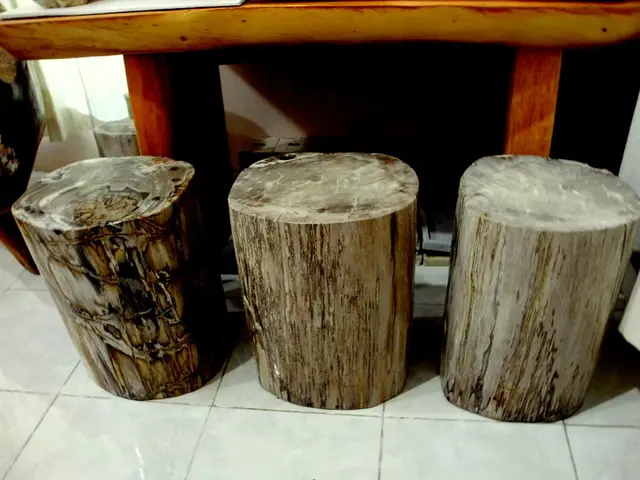 International coalition spearheaded by the United States and Australia aims to implement uniform...