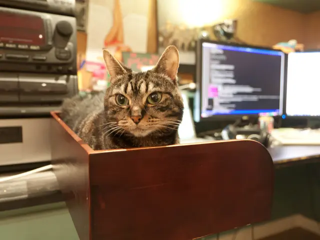 Top-Tier Devices Compatible with Google Assistant