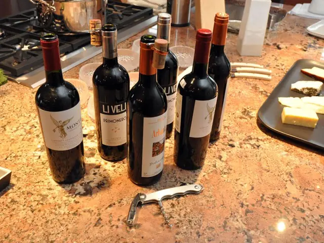 Next-Generation Speedy Cooking Stove System Ignited by Jetboil Unveiled