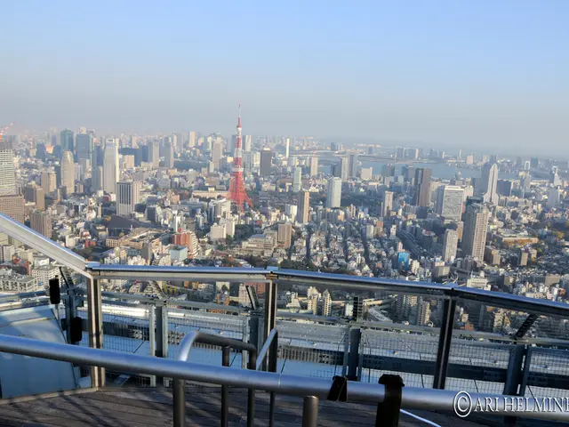 Cybersecurity Leader in New York Criticizes Trump for Budget Reductions Causing Negative Impacts