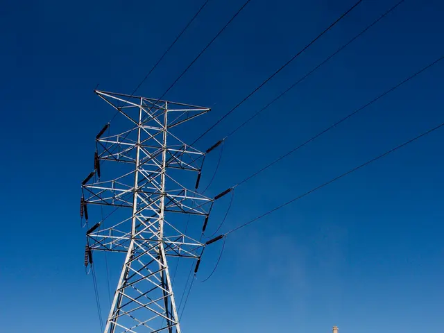The Imperative Importance of the Power Grid as a Key Concern for Companies