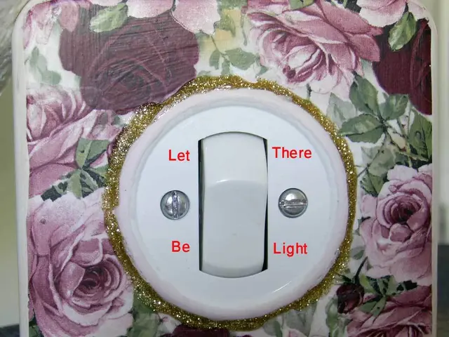 A hardware enthusiast attempts to install an NVMe SSD on the Switch 2, but the adapter fails to...