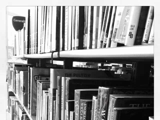 Updates on Borders and Bookbrewer's 'Publish Your Book' Program