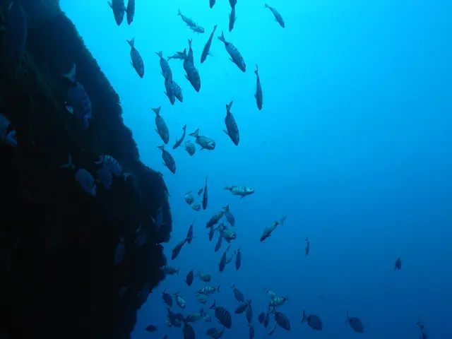 The potential ominous nature of the Doomsday Fish being true