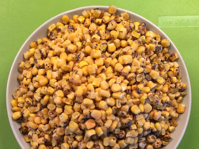 Corn Exits Stealthily, Gains Initial Advance at Pre-dawn Hours on Monday