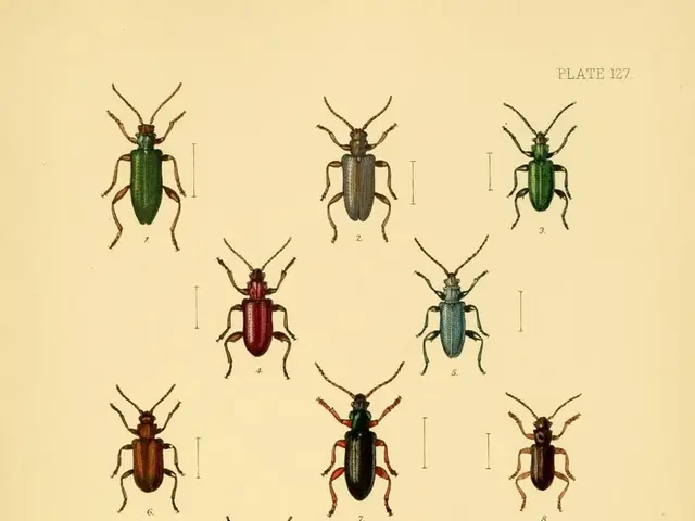 Beetles that feast on decomposing flesh might provide the key to the next phase of antibiotic...
