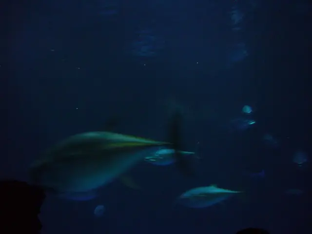 Deep-sea scientists unearth an ecosystem situated approximately 30,000 feet below the ocean's...