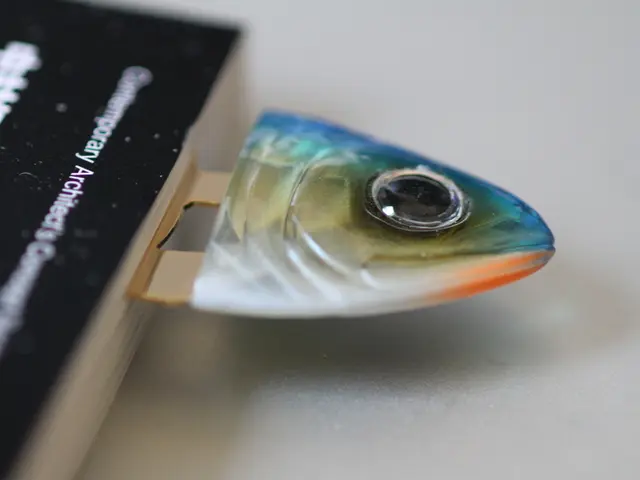 Unveiling the Big Tuna Bonanza: A Comprehensive Overview