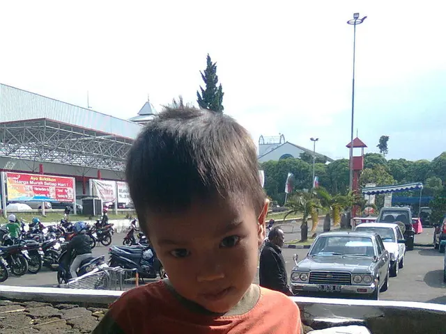 Youths Across Europe Prioritize Affordability and Climate as Key Concerns on International Youth...