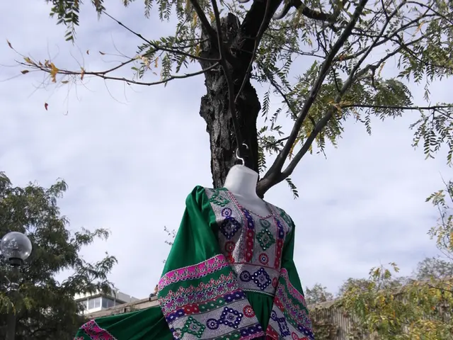 "Revolutionizing South African Retail with Omnichannel Shopping: The Transformation by TFG's Bash...