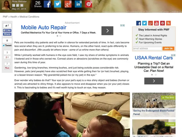 Online User Data Protection in the Digital Realm: Legal Guidelines for Web Architects and...