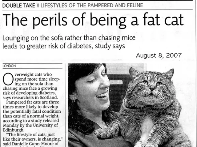 In Q2 2025: Catena Media manages to double its adjusted EBITDA, while revenue sees a decline.