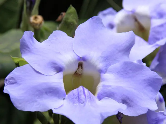 Female innovators in South Africa can submit applications for the Innovest Ignite Accelerator...