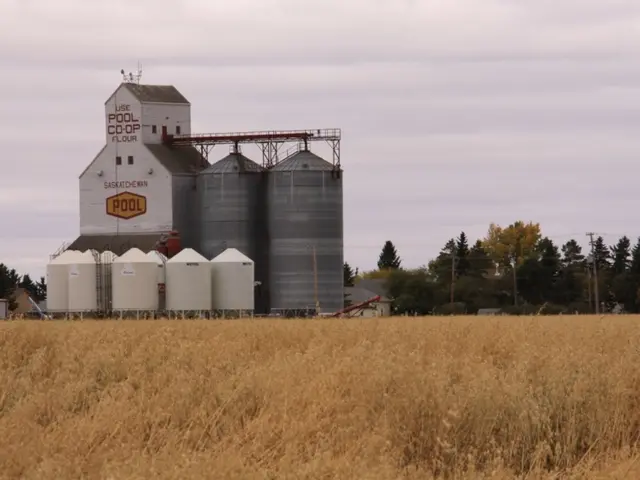 Reality Strikes Saudi Megaprojects: $8 Billion setback in pursuit of economic diversity