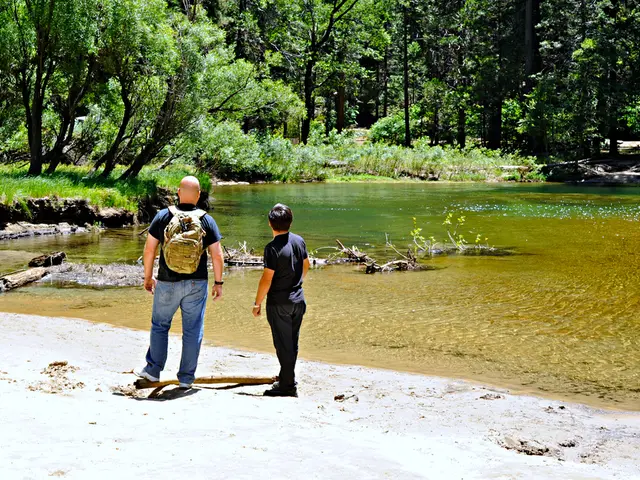 Cross-Border Business-to-Business Payments and Their Forty Trillion Dollar Future