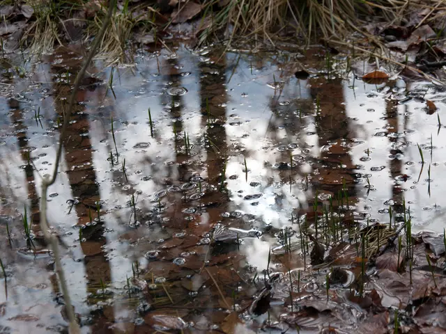 Preparingfor a sound investment? Consider the world's most sought-after commodity – water.