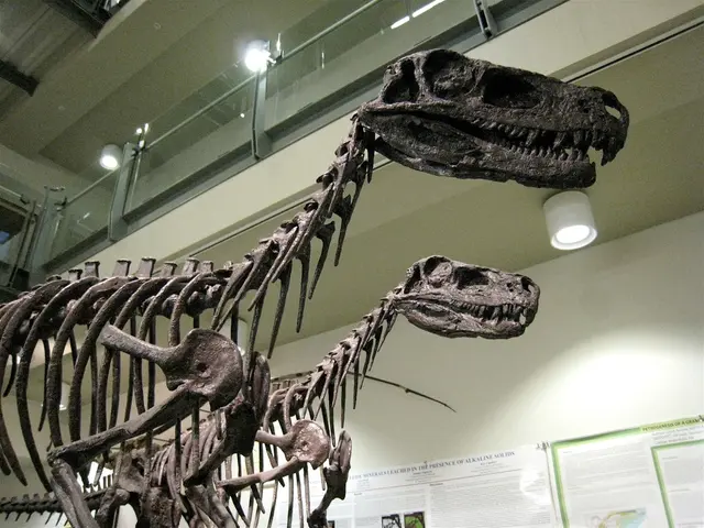 Dinosaurs, specifically T. Rex and others, feeding mechanisms revealed through biomechanical...