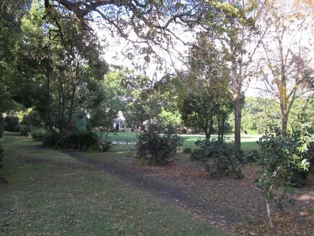 Meta's AI-Powered Forest Mapping System Revolutionizes Carbon Monitoring