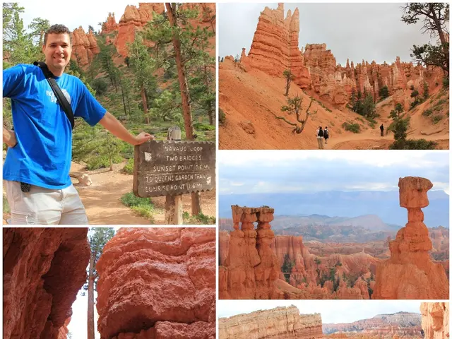 Analysis of a Visually-Attentive Model for Pattern Discovery in Eye-Tracking Data within the...