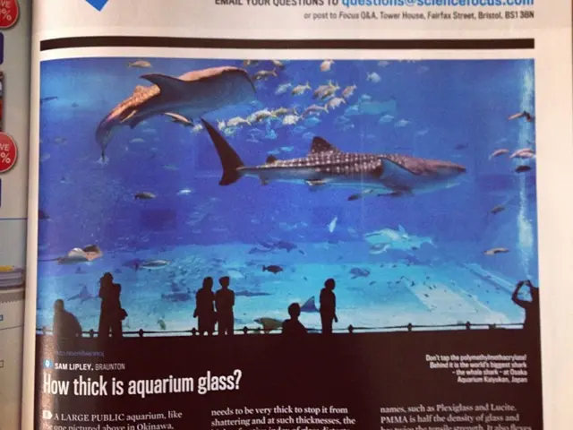 Young members of an isolated Amazonian community exhibiting increased sexual aggression following...