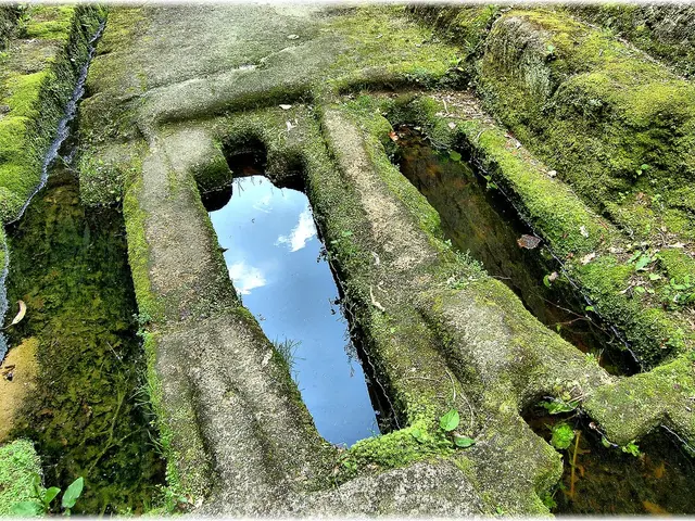 Energy firm ATOME partners with Cavendish in a joint venture for green hydrogen and ammonia...