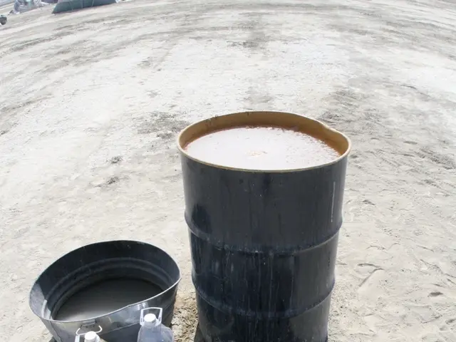 Liquidity dilemma with FIST tokens as whale investors show signs of a potential exit scam