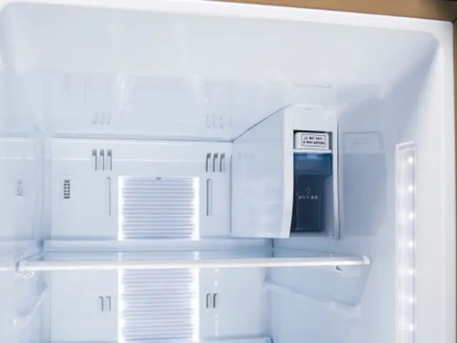 Revamped Shelfy by Vitesy promises enhanced food freshness and reduced spoilage