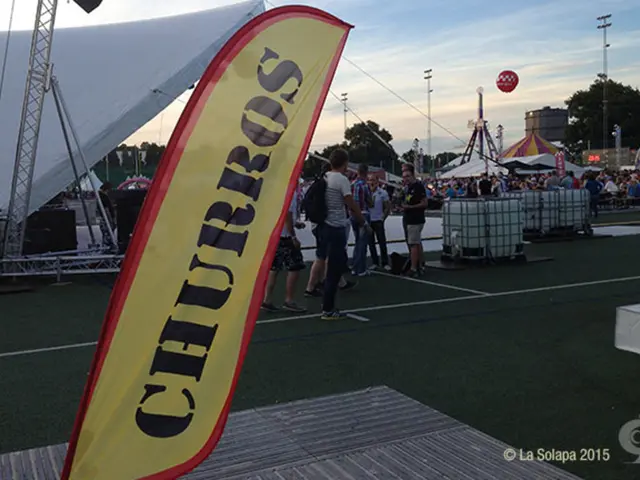 The Commission concludes that the support plan aligns with the rules of the domestic market.