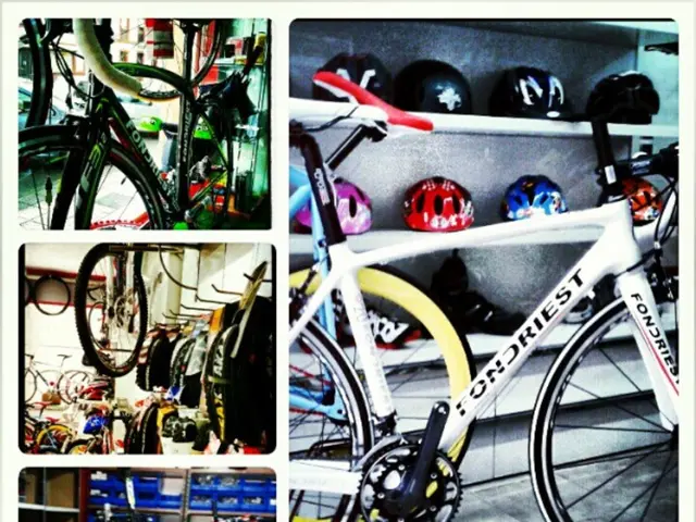 Custom Electric Bicycles at Portland Bike Shop Inspire Emotional Response