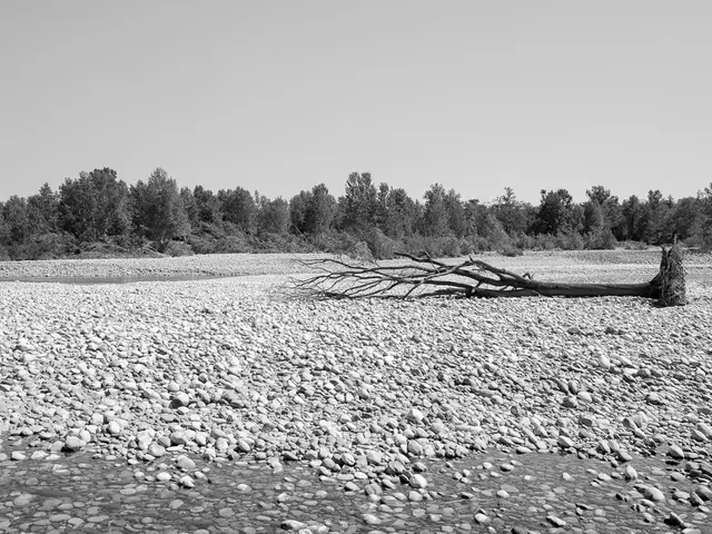 Ancient Artifacts Potentially Buried in Your Backyard: A Guide on What to Seek Out.