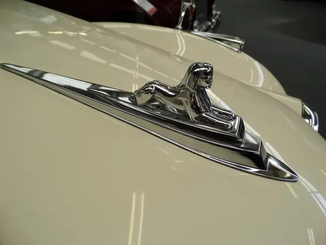 Rise of Chinese Electric Vehicle Brands in Global List of Most Sustainable Businesses