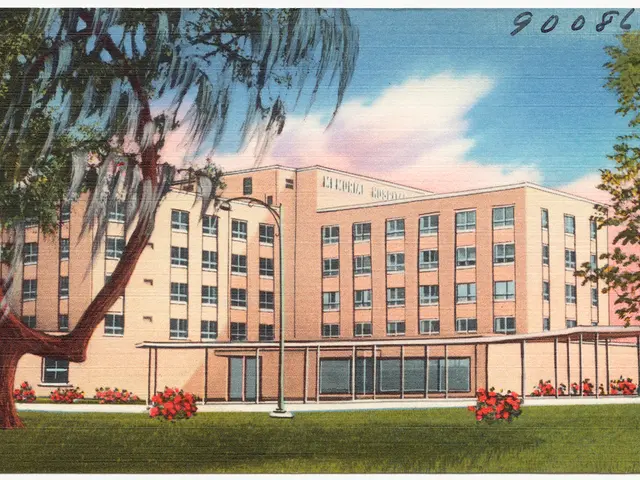 Gratitude Expressed by Vitalik Buterin to the SHIB Enthusiasts