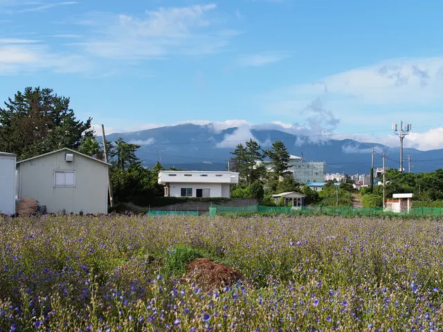 Solar power providers on the island may be making misleading statements, cautions KIUC.