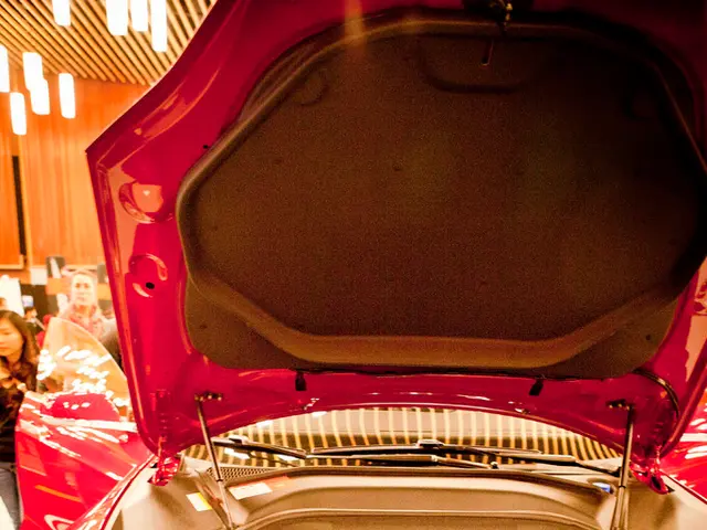 Grid officials at DCS affirmed that this year's Oktoberfest consumes more energy than previous...