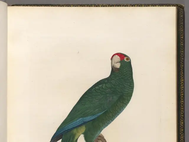 DeepSeek's expensive training for R1 model puts a damper on large tech companies' excessive AI...