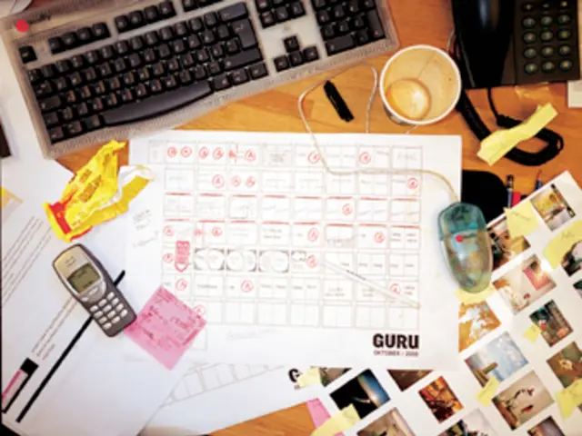 Indian company Ebix mulls debuting on domestic stock market, boosted by strong revenue growth