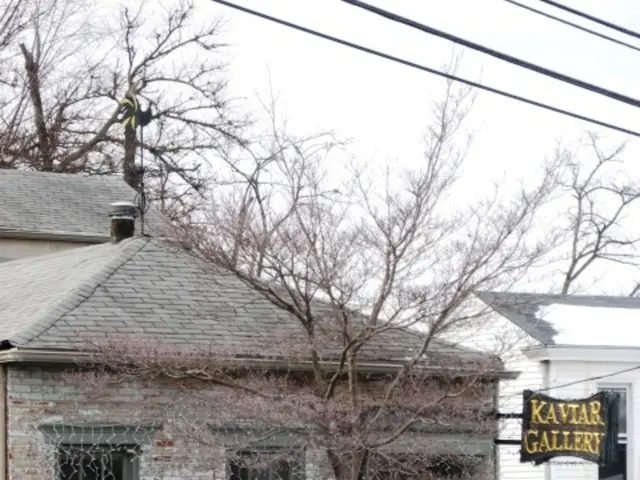 Advantages of Harnessing Solar Power for Domestic Energy Needs