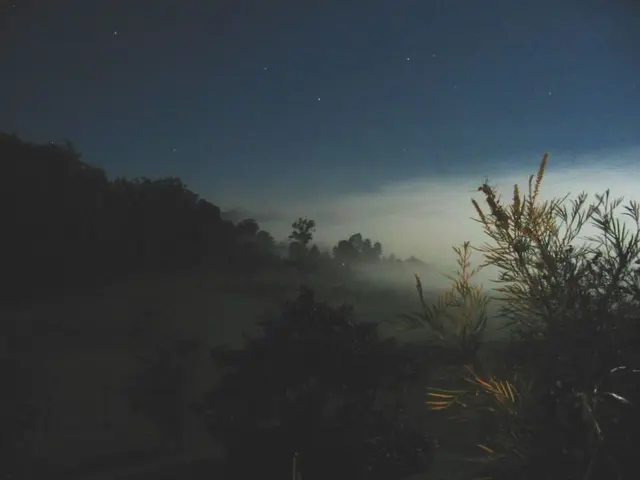 This image is taken during the night time. In this image we can see the trees, sky, clouds and also...